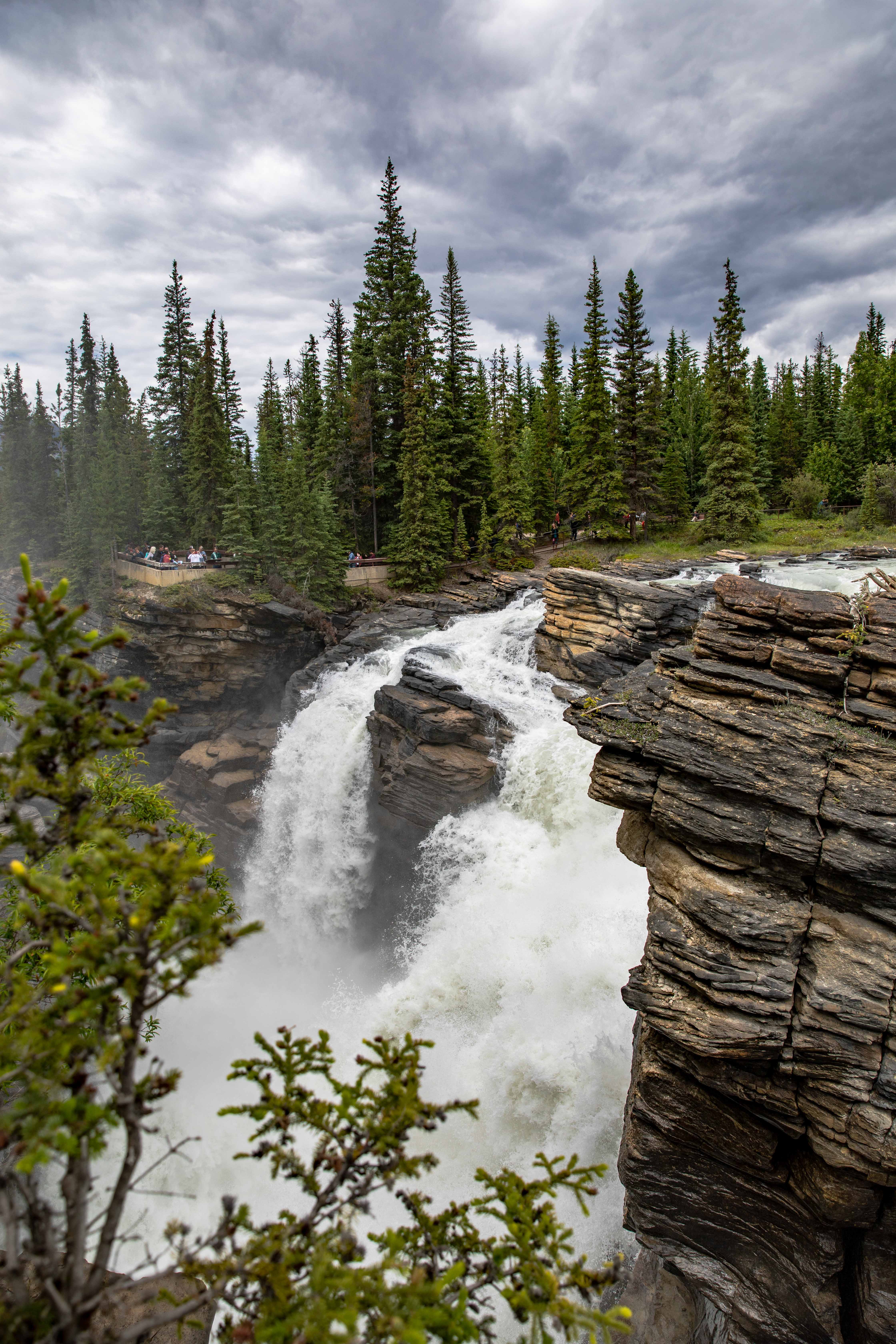 Athabasca Falls - The Intrepid Life