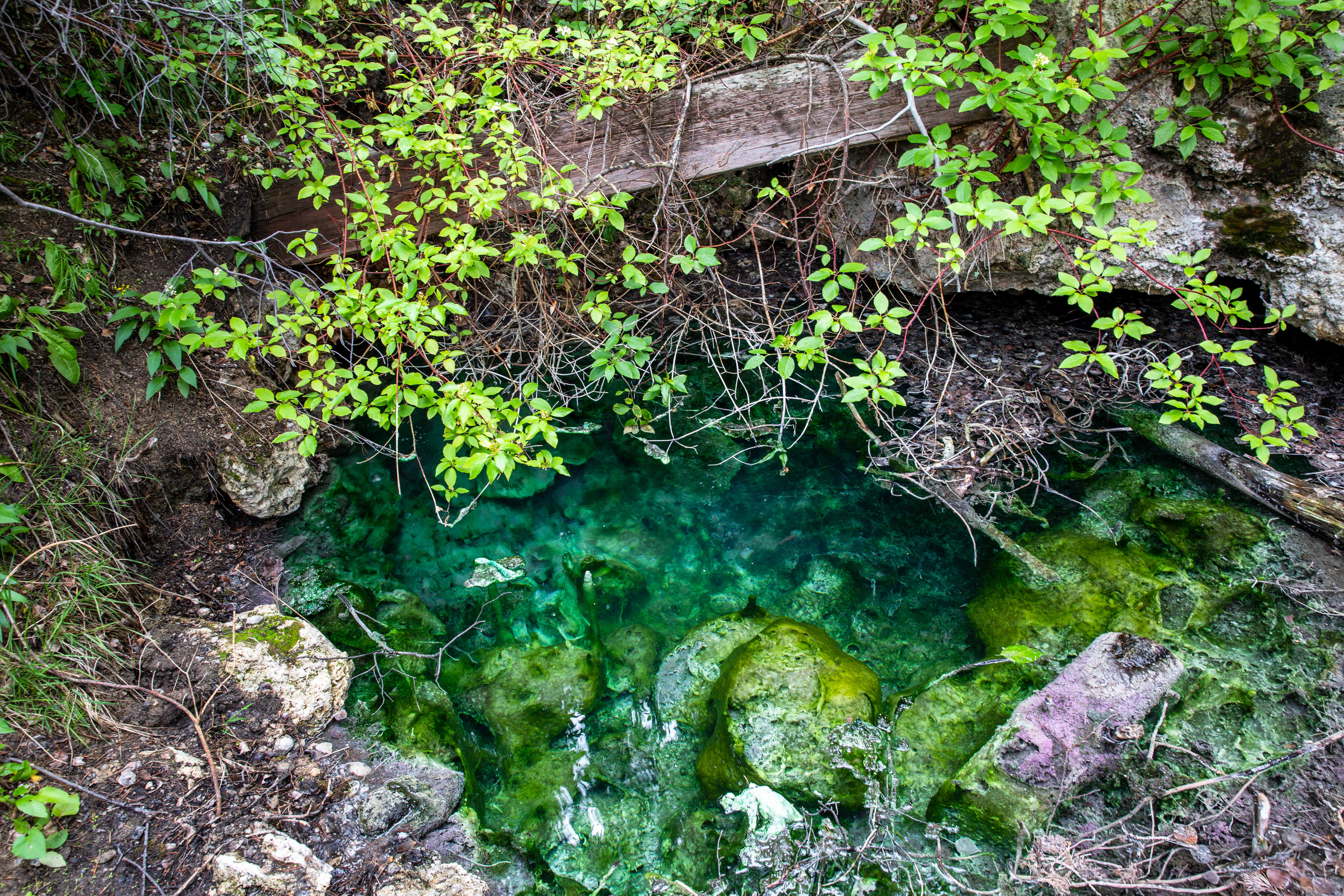 Cave and Basin National Historic Site The Intrepid Life