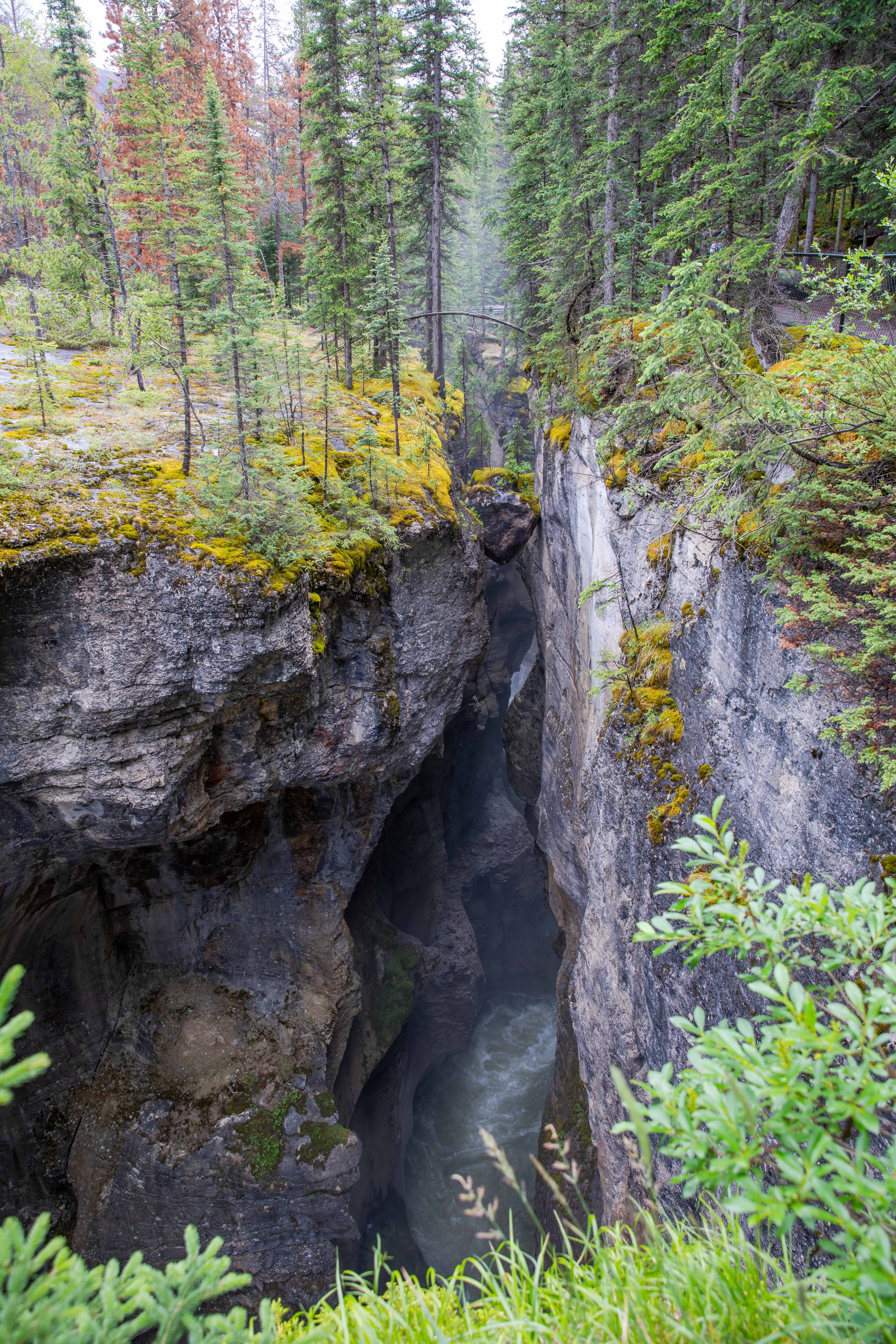 Maligne Canyon The Intrepid Life